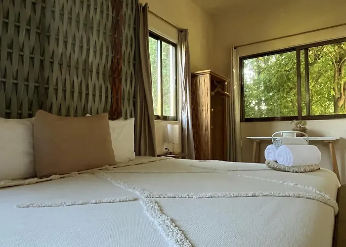 Che Valladolid Hostel&Bar